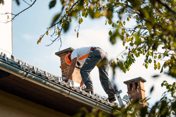 Best Residential Roofing Contractor  in Maili, HI